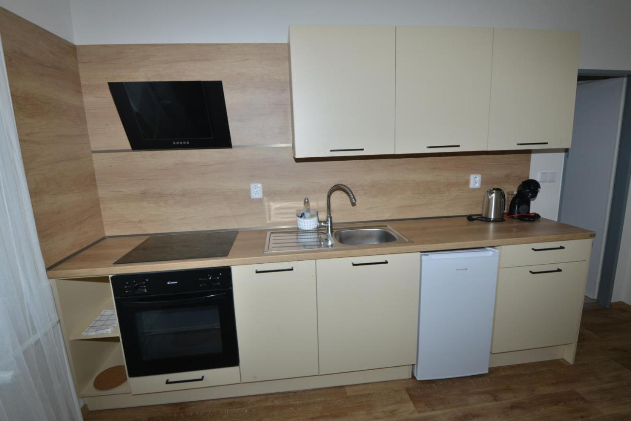 Apartmany U Peslu Železná Ruda Εξωτερικό φωτογραφία