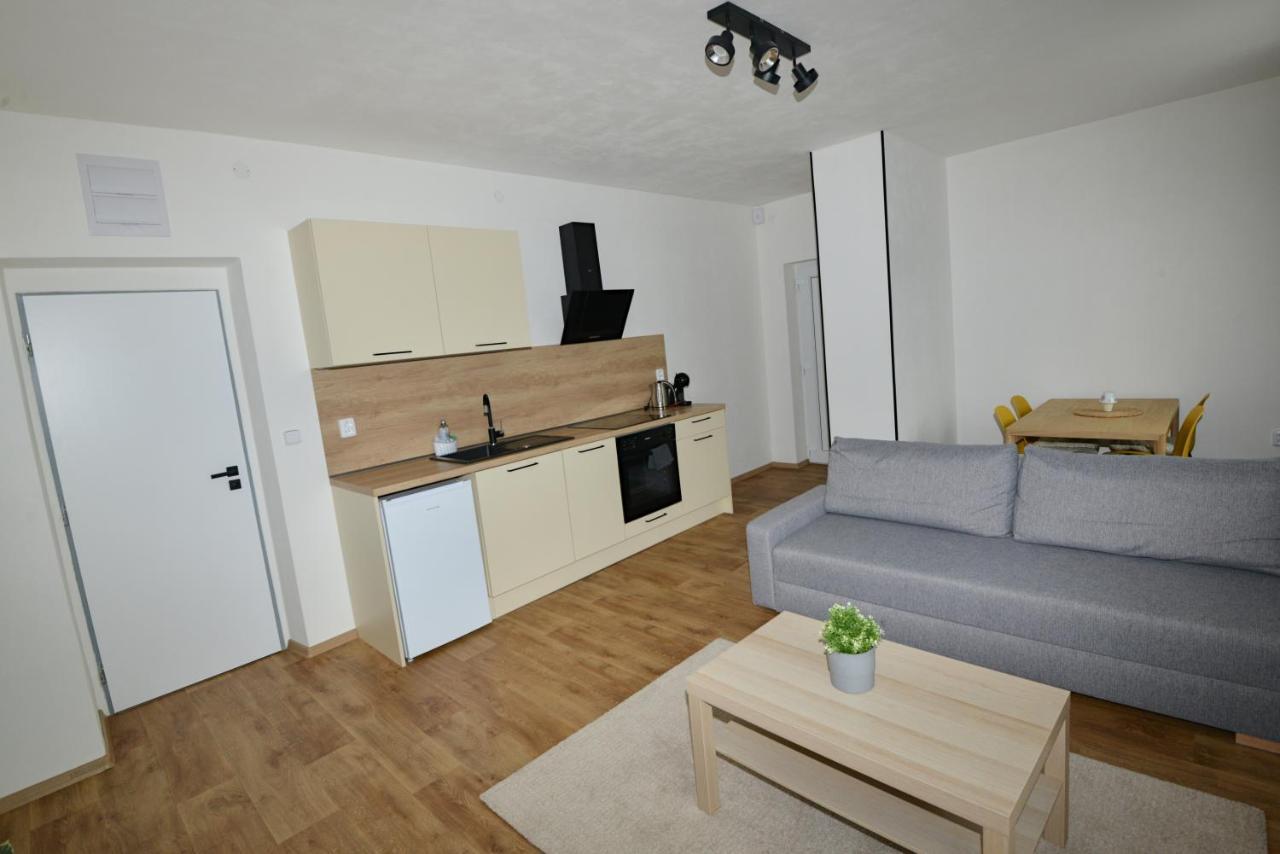 Apartmany U Peslu Železná Ruda Εξωτερικό φωτογραφία