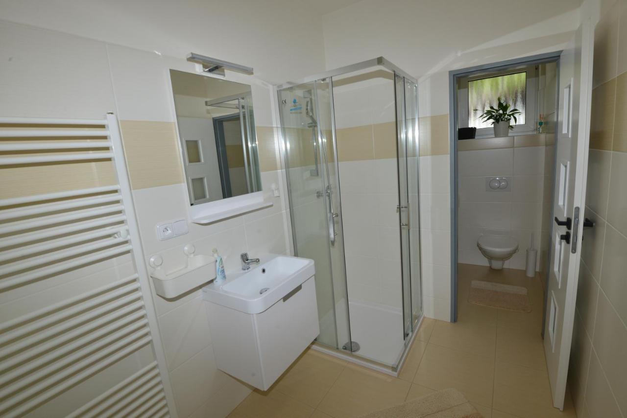 Apartmany U Peslu Železná Ruda Εξωτερικό φωτογραφία