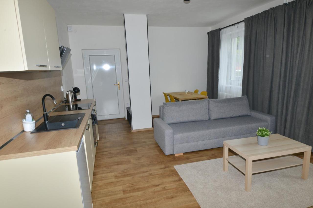 Apartmany U Peslu Železná Ruda Εξωτερικό φωτογραφία